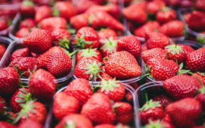4 Manfaat Micin untuk Tanaman Strawberry