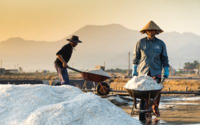Perbedaan Garam Biasa Dengan Garam Himalaya